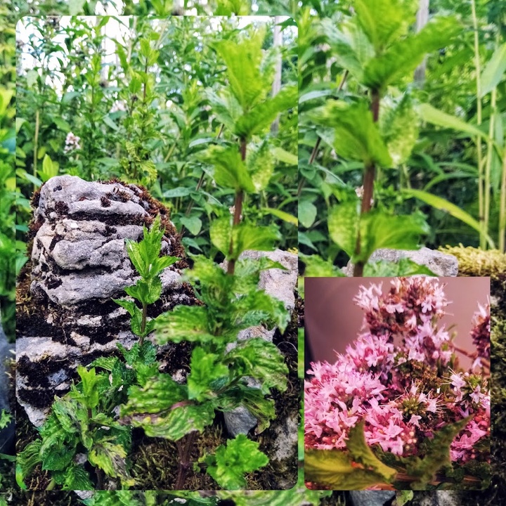 Collage mit Blumen